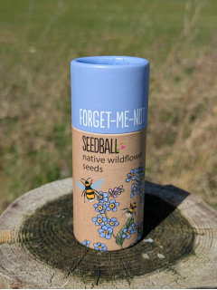 Forget-me-not Seedballs (20 balls)